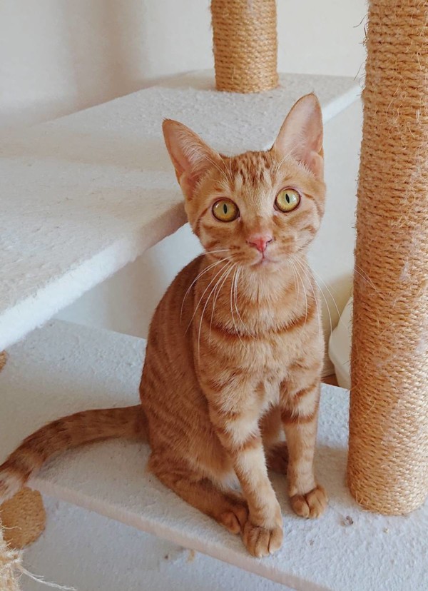 成長したきなこちゃん☆