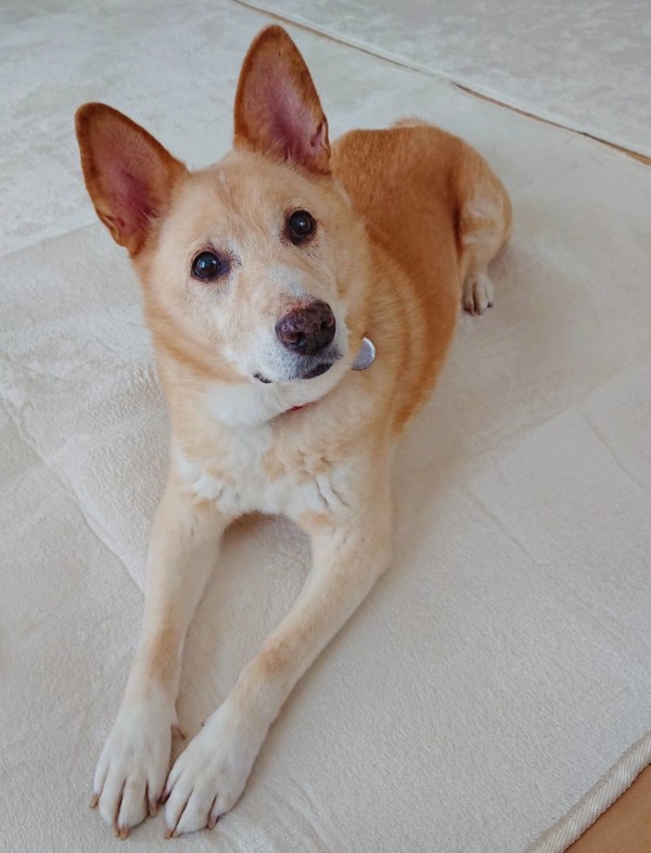 3ヶ月連続りょう君☆