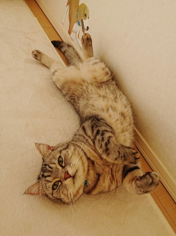 アラシ君・シノン君☆