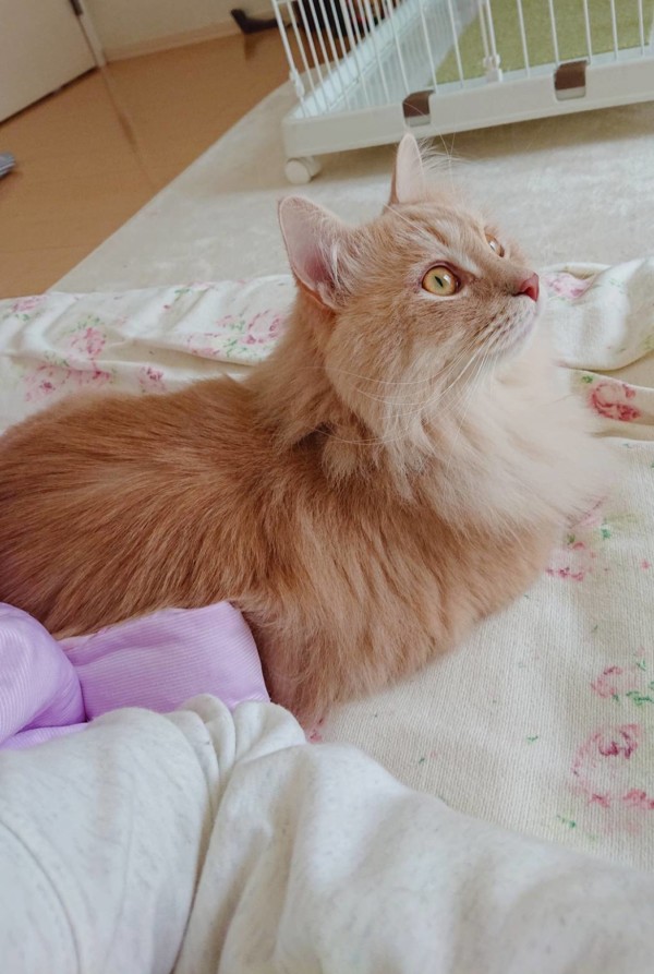 ロングステイしんのすけ君☆（後半）