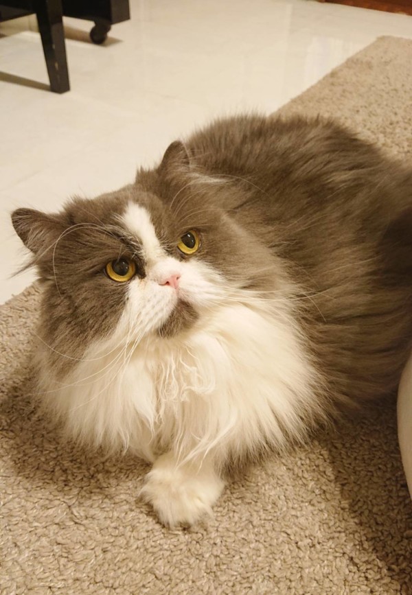 お口アーンどんちゃん☆