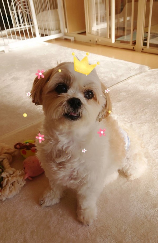 リピートのミルク君☆