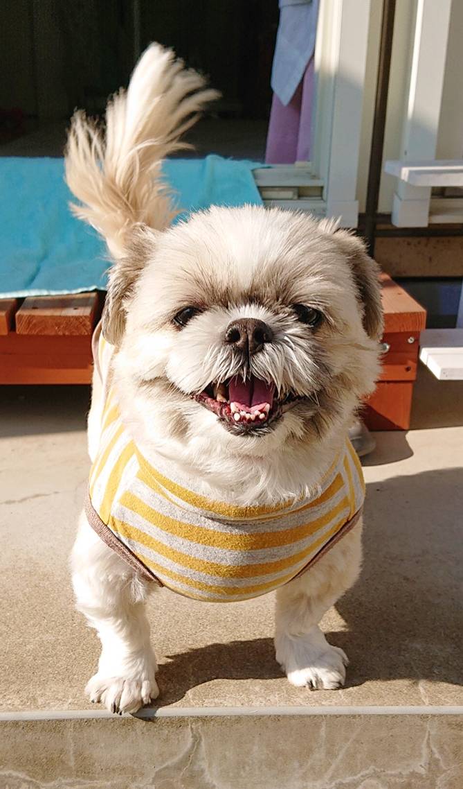 ロングステイふぅちゃん☆（前半）