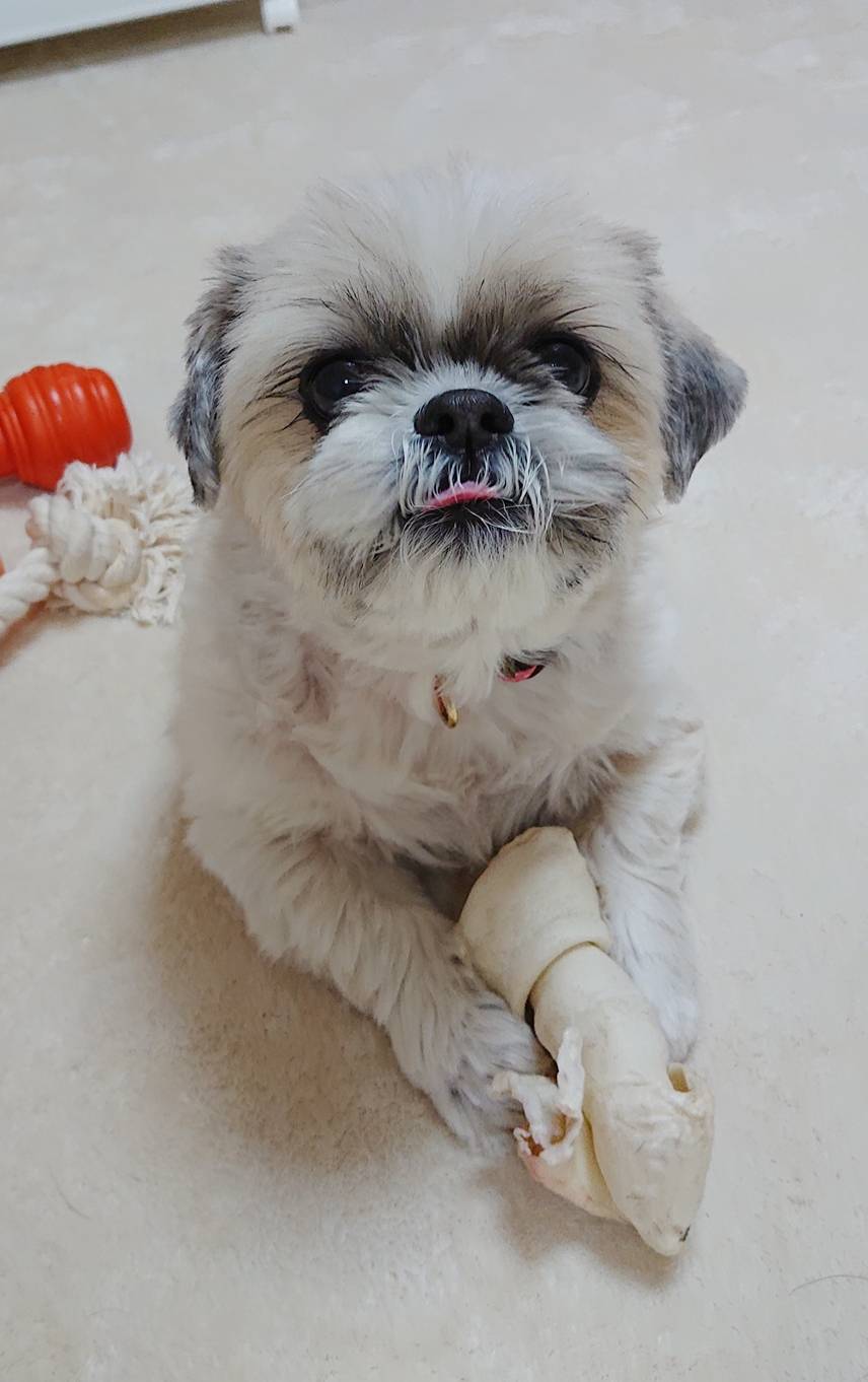 ロングステイふぅちゃん☆（後半）