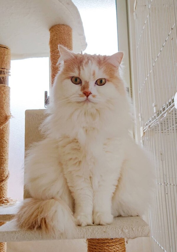 2日目は変わるモモ君☆