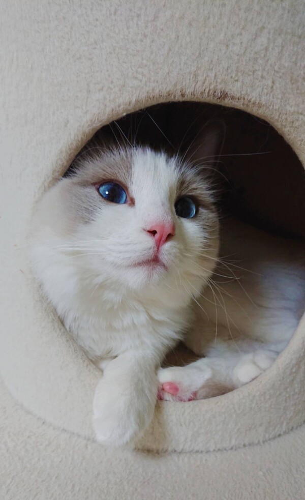 ルナちゃん里帰り☆（前半）