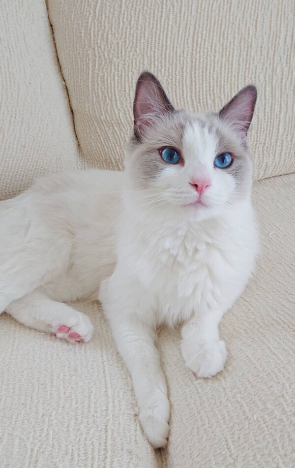 ルナちゃん里帰り☆(後半)