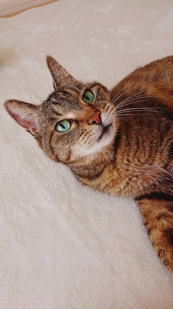 リピートのダニエル君☆