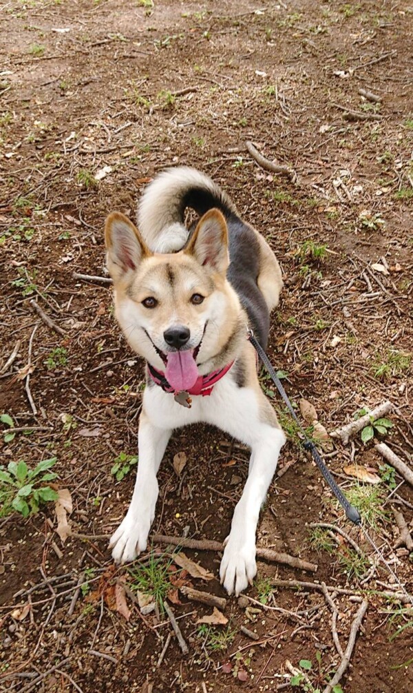 2年半ぶりのつきちゃん☆