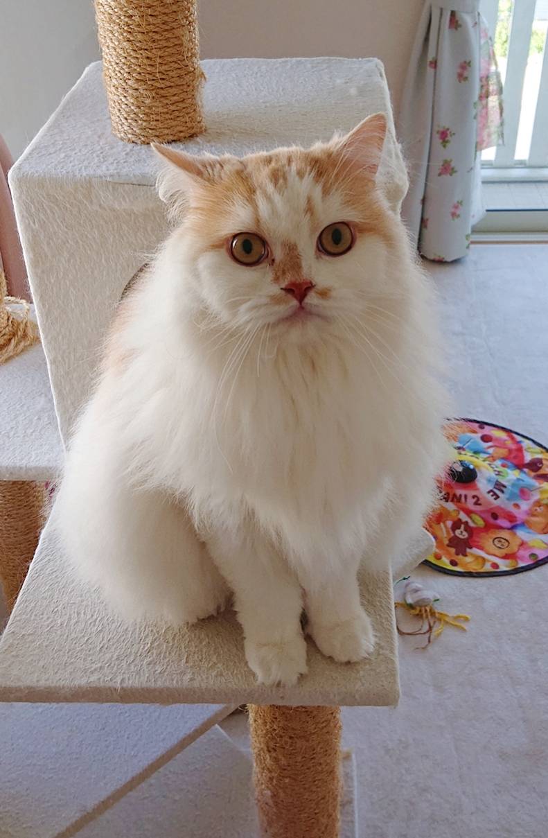 モモ君のご機嫌☆