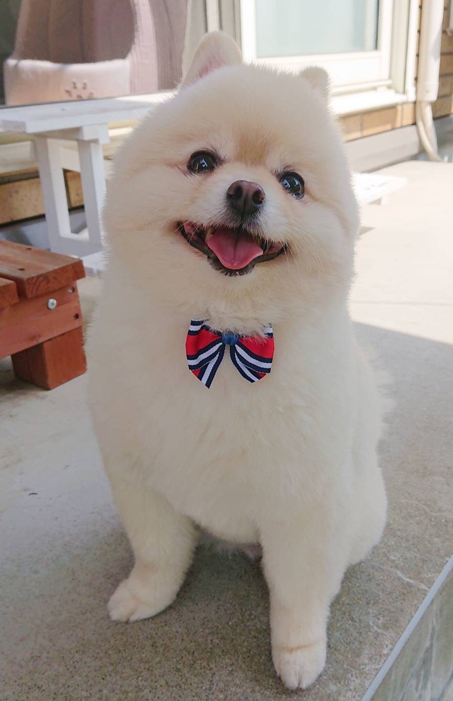 リピートのハント君☆