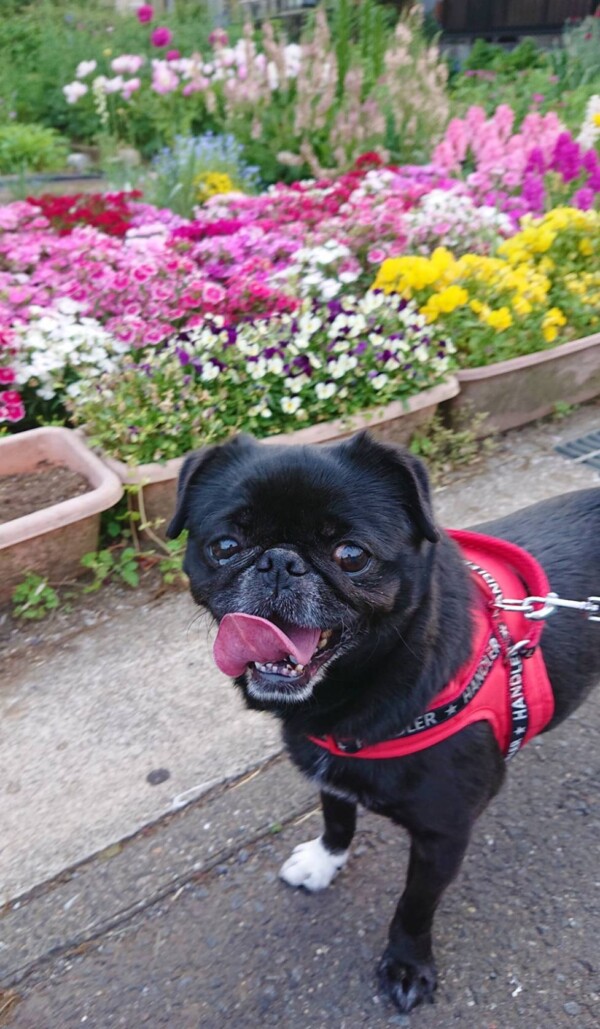 超ロングステイはなちゃん☆（前半）