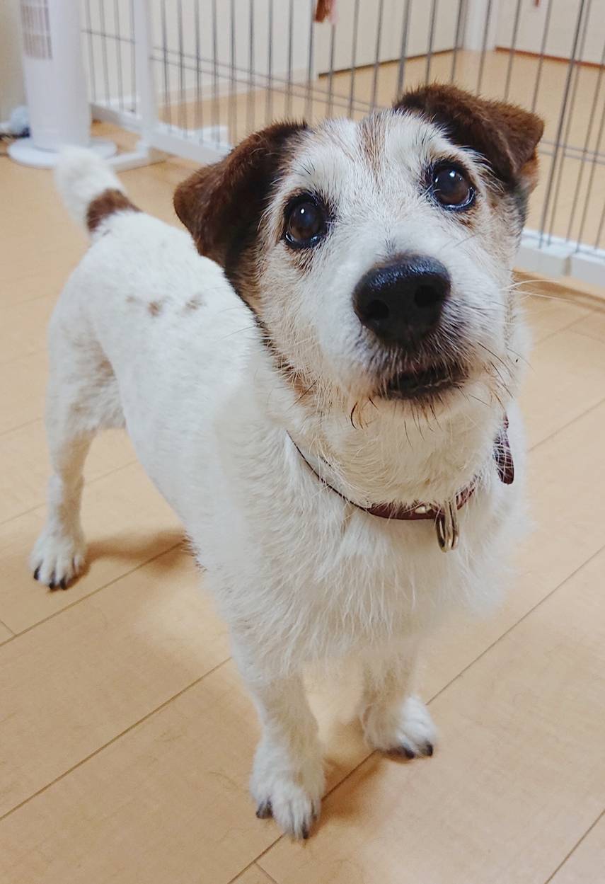 ベストフレンドが出来たログ君☆