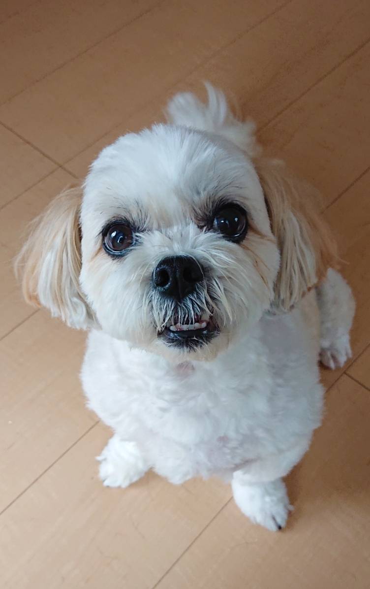 すっかり慣れたミルク君☆