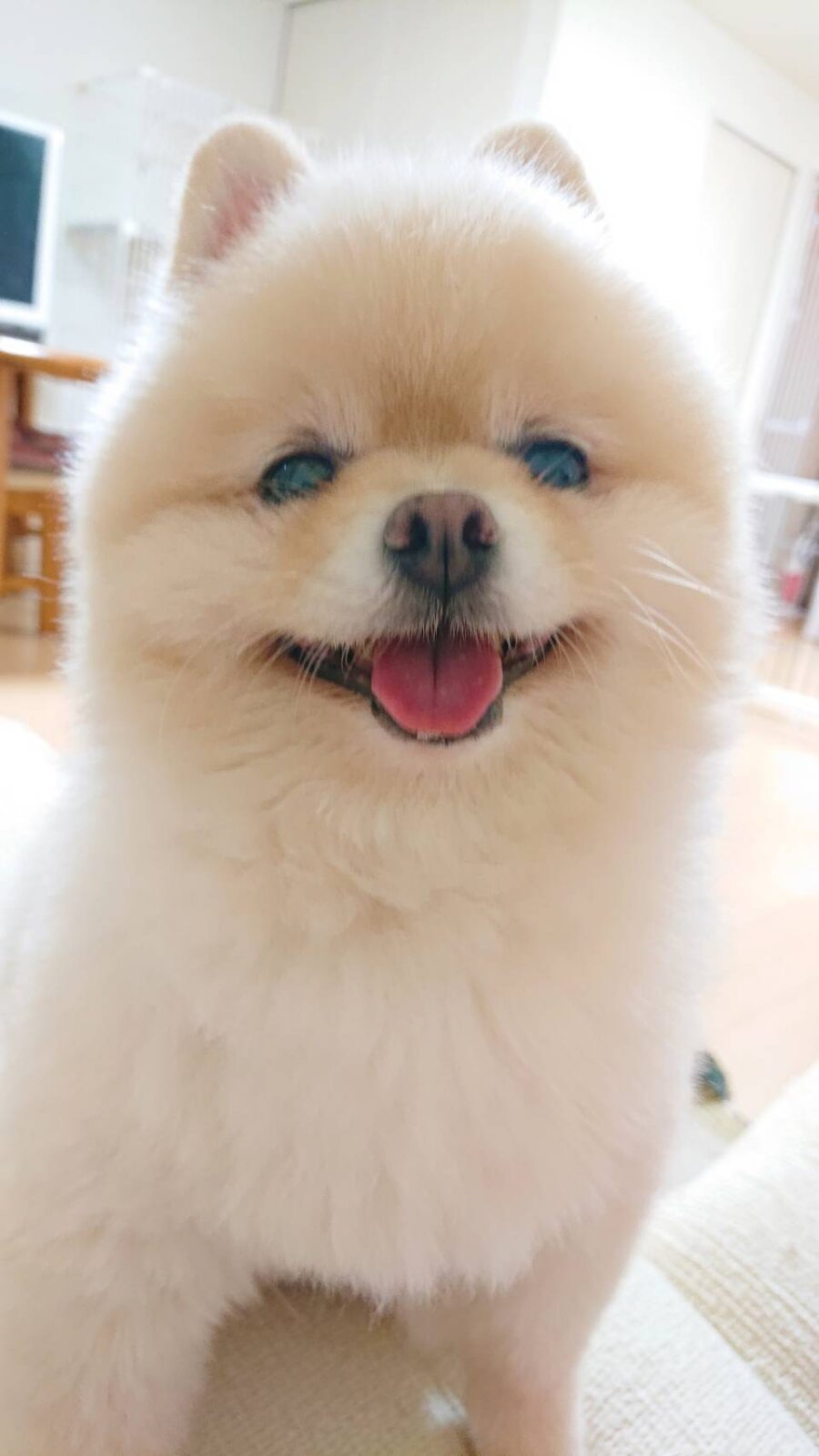 のんびりハント君☆