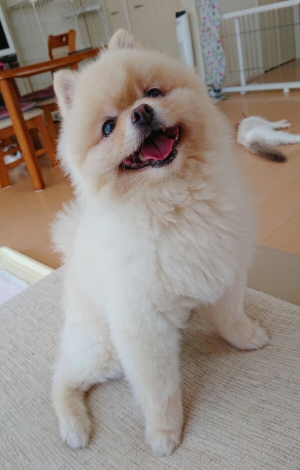 今月２回目ハント君☆