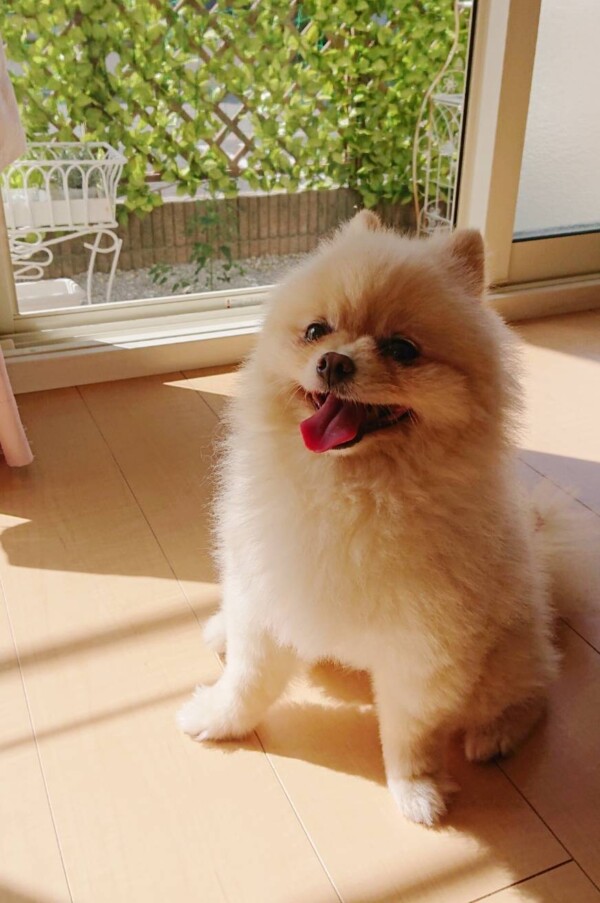 今月3回目ハント君☆