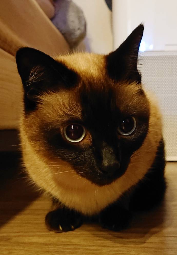 1ヶ月ぶりの3兄妹☆(前半)