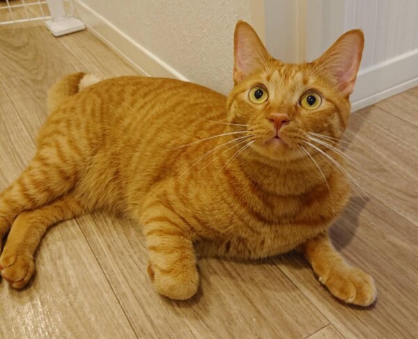 １ヶ月ぶりの３兄妹☆（後半）