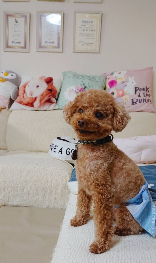 御縁があるバーニー君☆