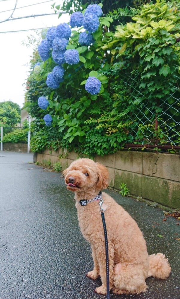 リピートのカイ君☆