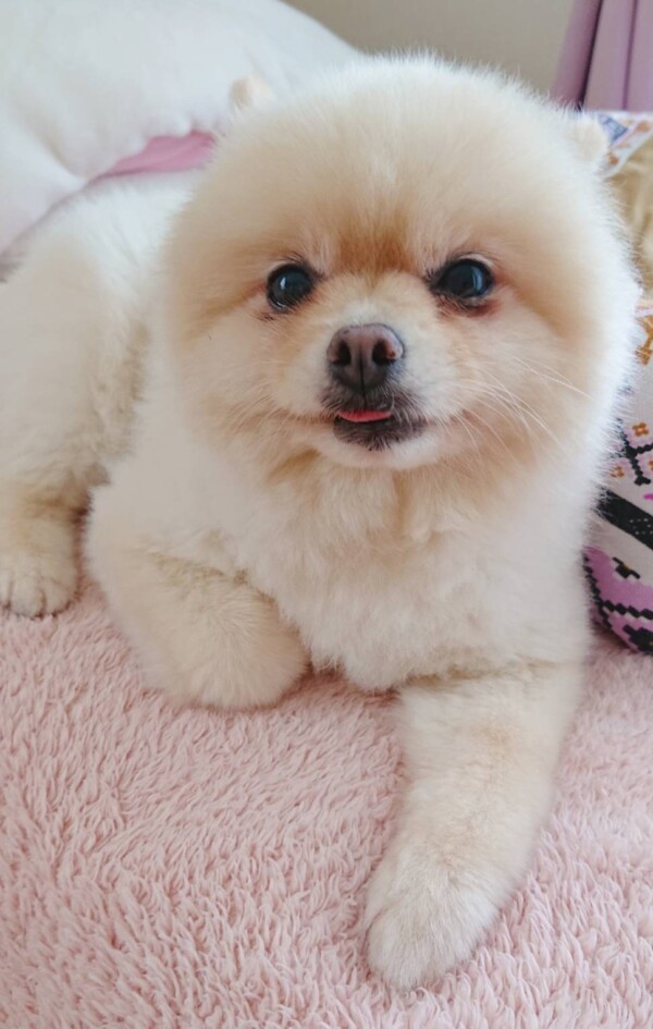 今月もたくさんお泊りハント君☆