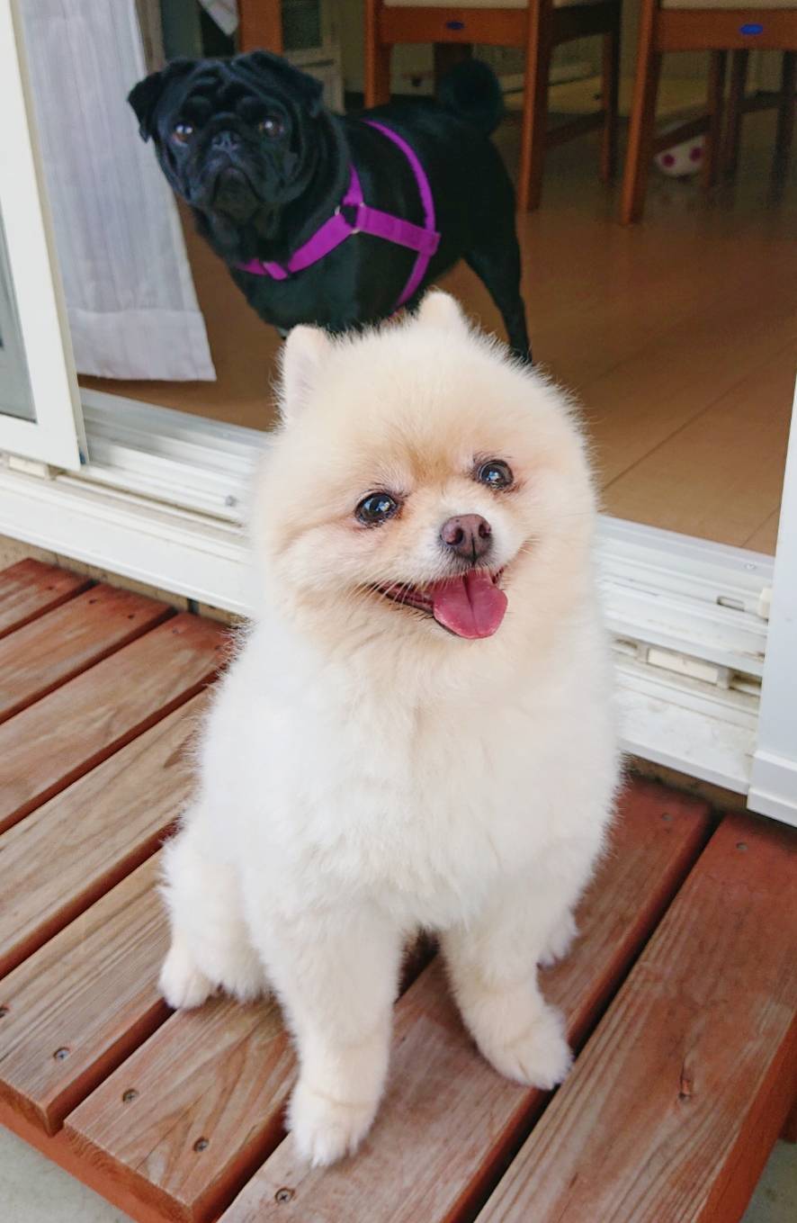 8日間お泊りハント君☆