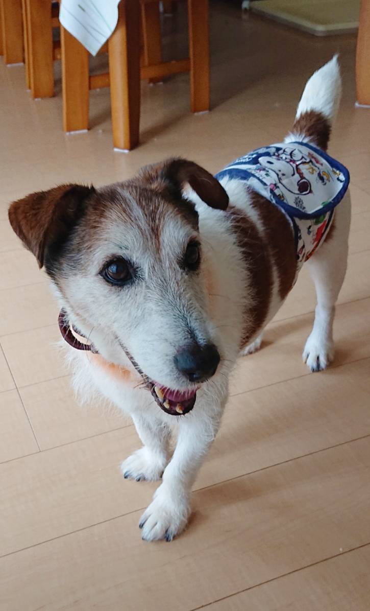 のんびりログ君☆