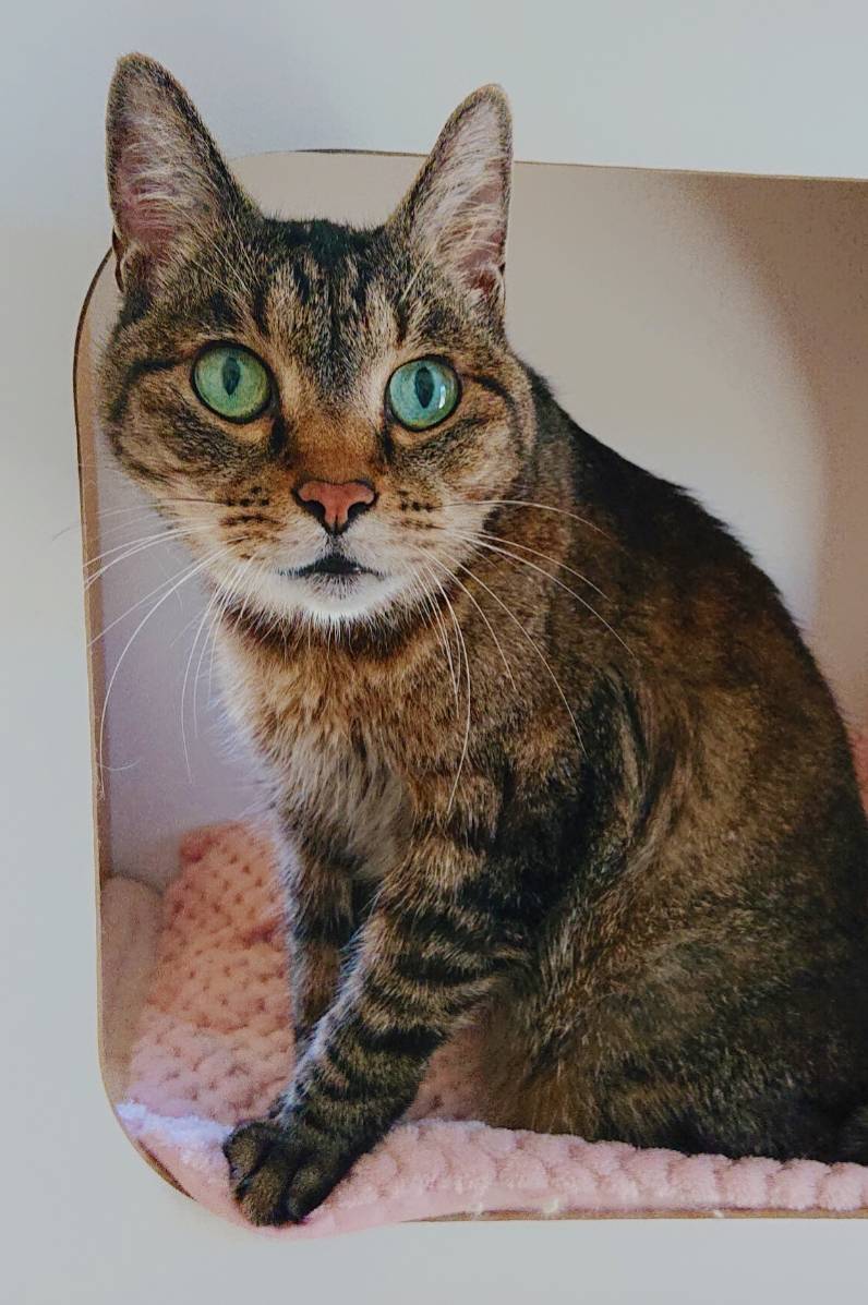 おっとりダニエル君☆