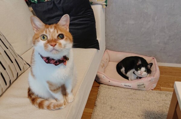 12歳のクウ君・カイ君☆