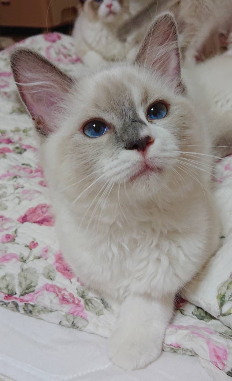 再び里帰りサンちゃん☆