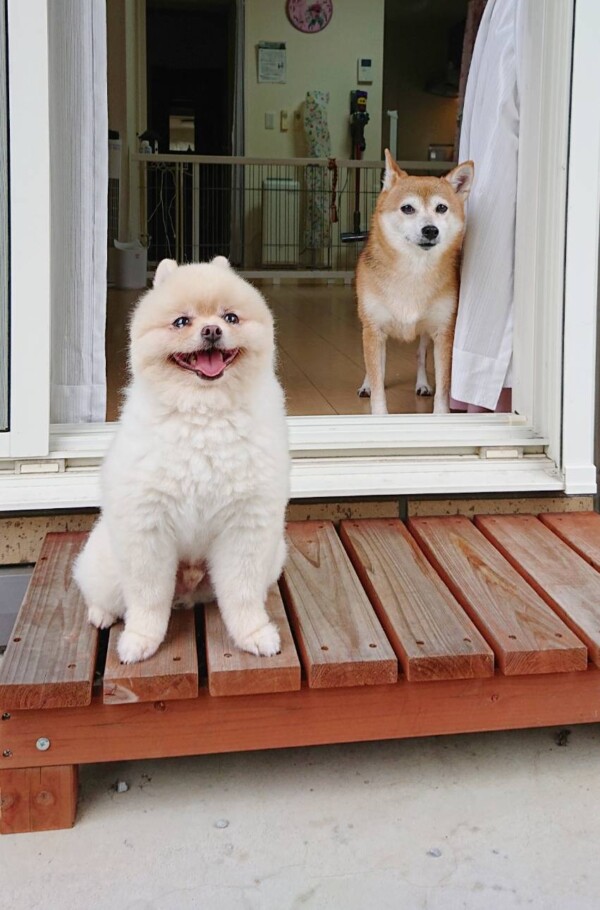 急遽お泊りハント君☆