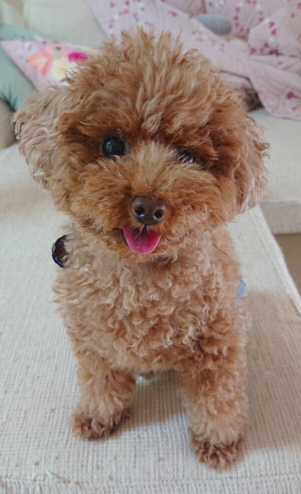 さすがのバーニー君☆