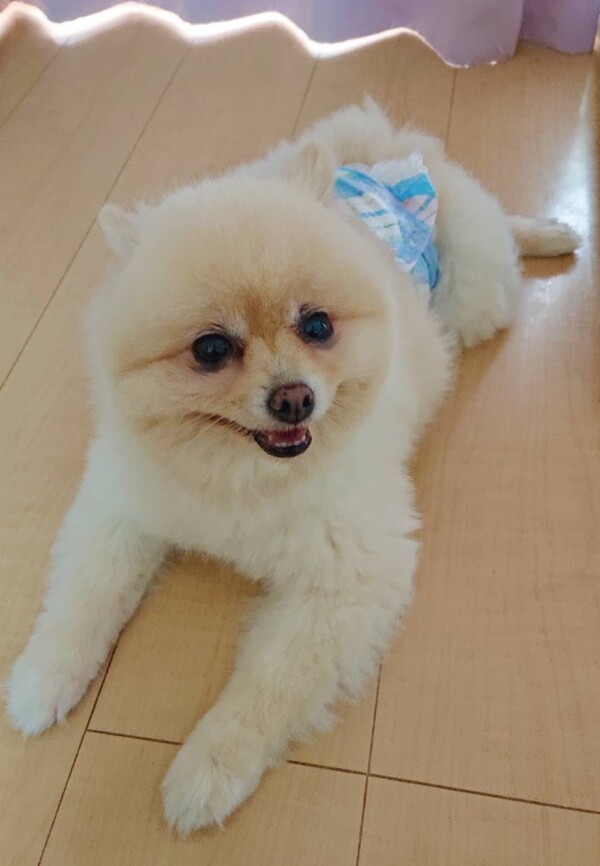 冷風機が好きなハント君☆