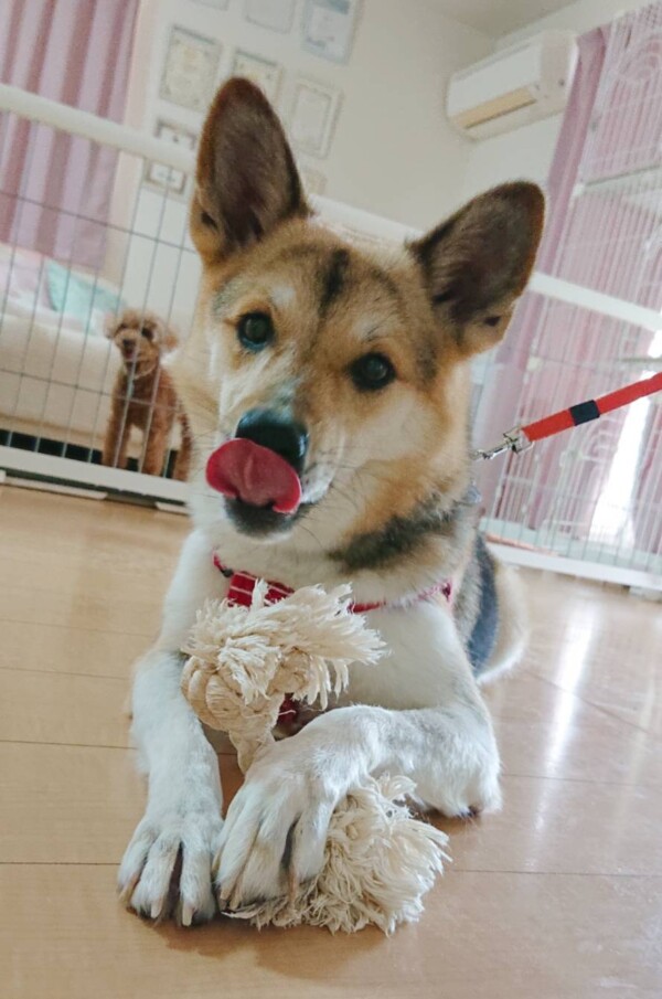 お鼻ムキムキつきちゃん☆