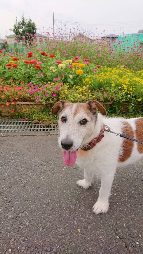 常連さんログ君☆