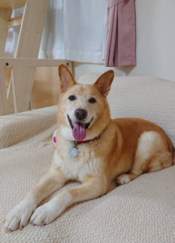 9ヶ月ぶりの、りょう君☆