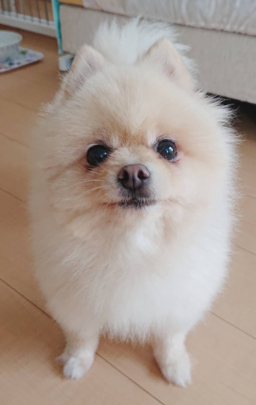 抗議するハント君☆