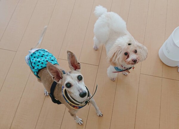 ナッツ君・レアちゃん☆