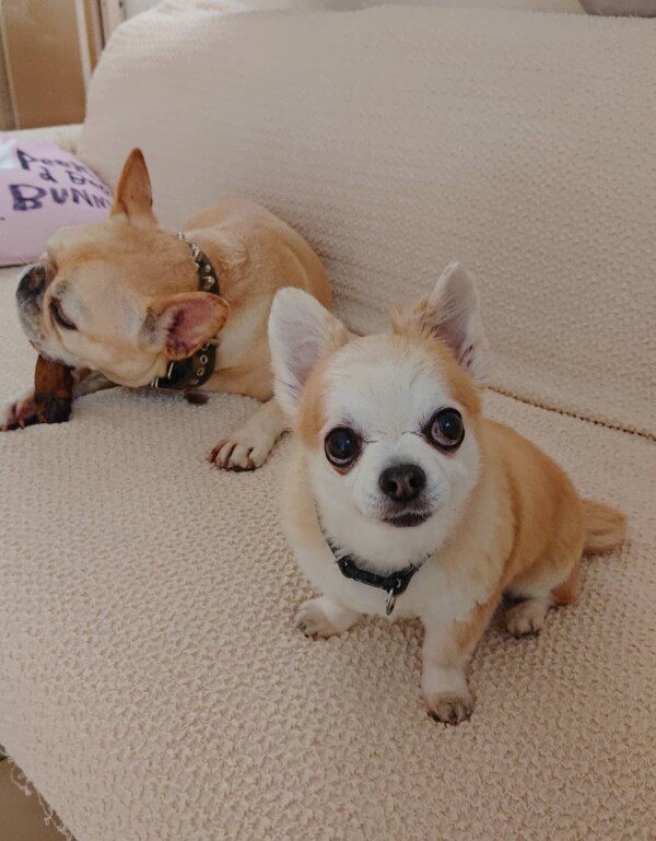 リピートのジョナ君・ロック君☆