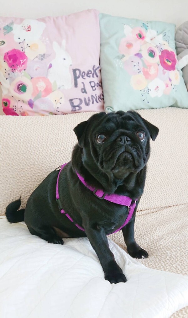 リピートもずくちゃん☆