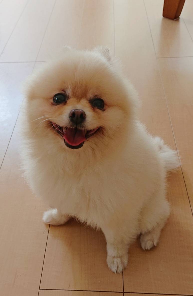 今月のハント君☆