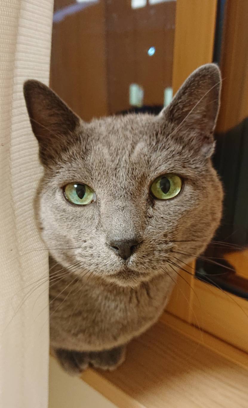 慣れたプルシェンコ君・スピカちゃん☆