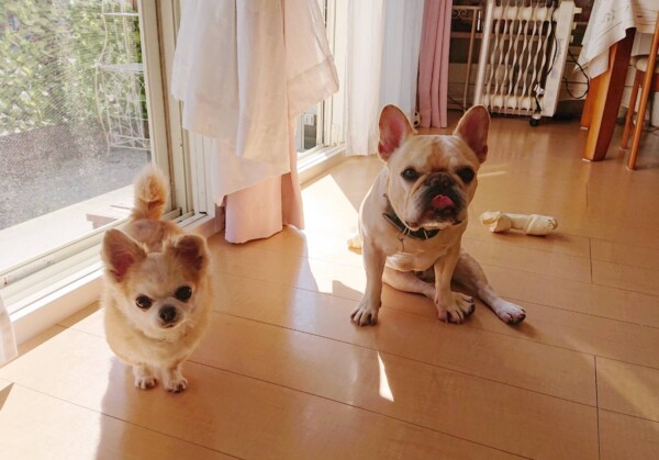 ヌクヌクのジョナ君・ロック君☆