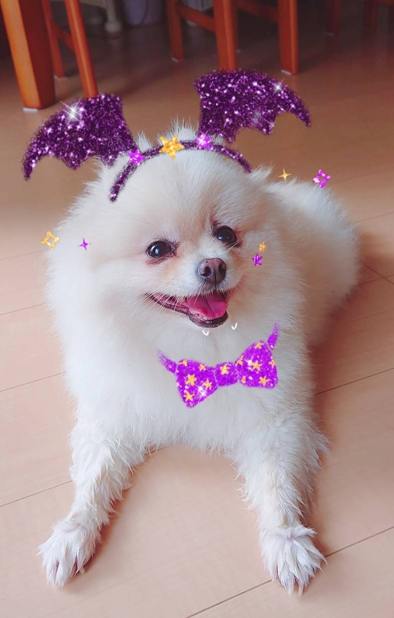 ハロウィンなハント君☆