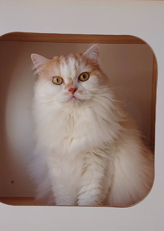 気にしないモモ君☆