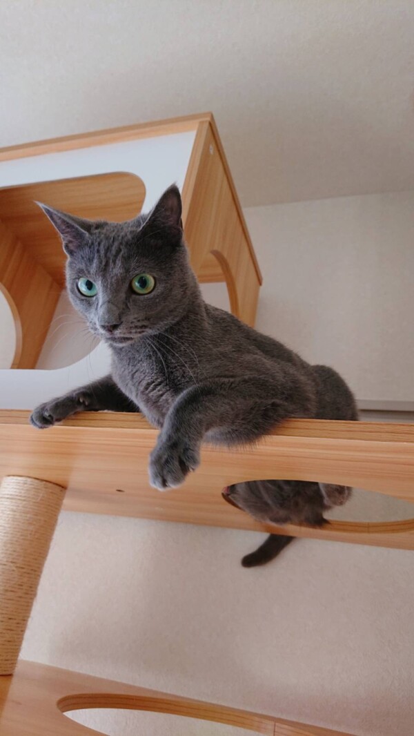 3回目のアナスタシアちゃん☆