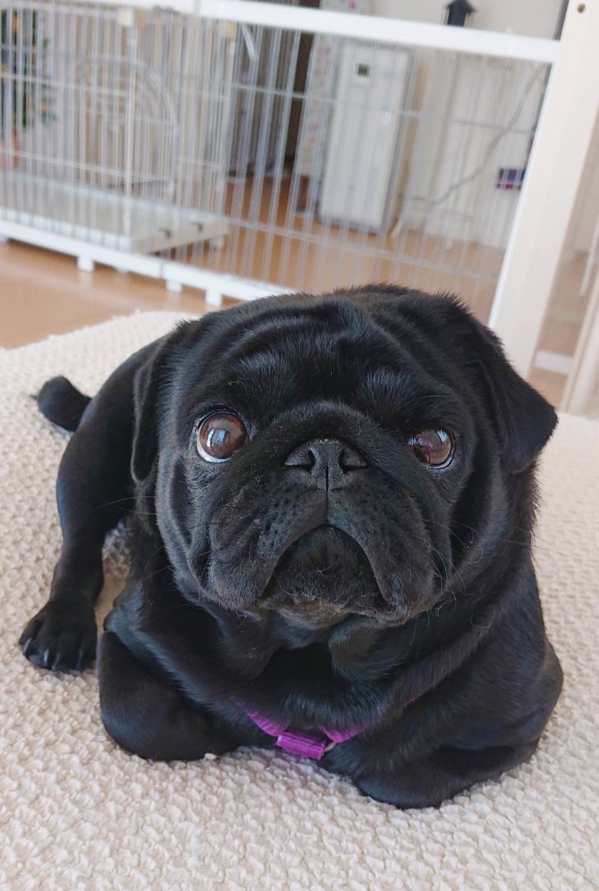 成長した、もずくちゃん☆