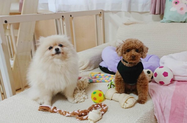 超常連さんハント君・バーニー君☆