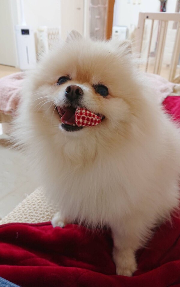 シッターの行動を読むハント君☆